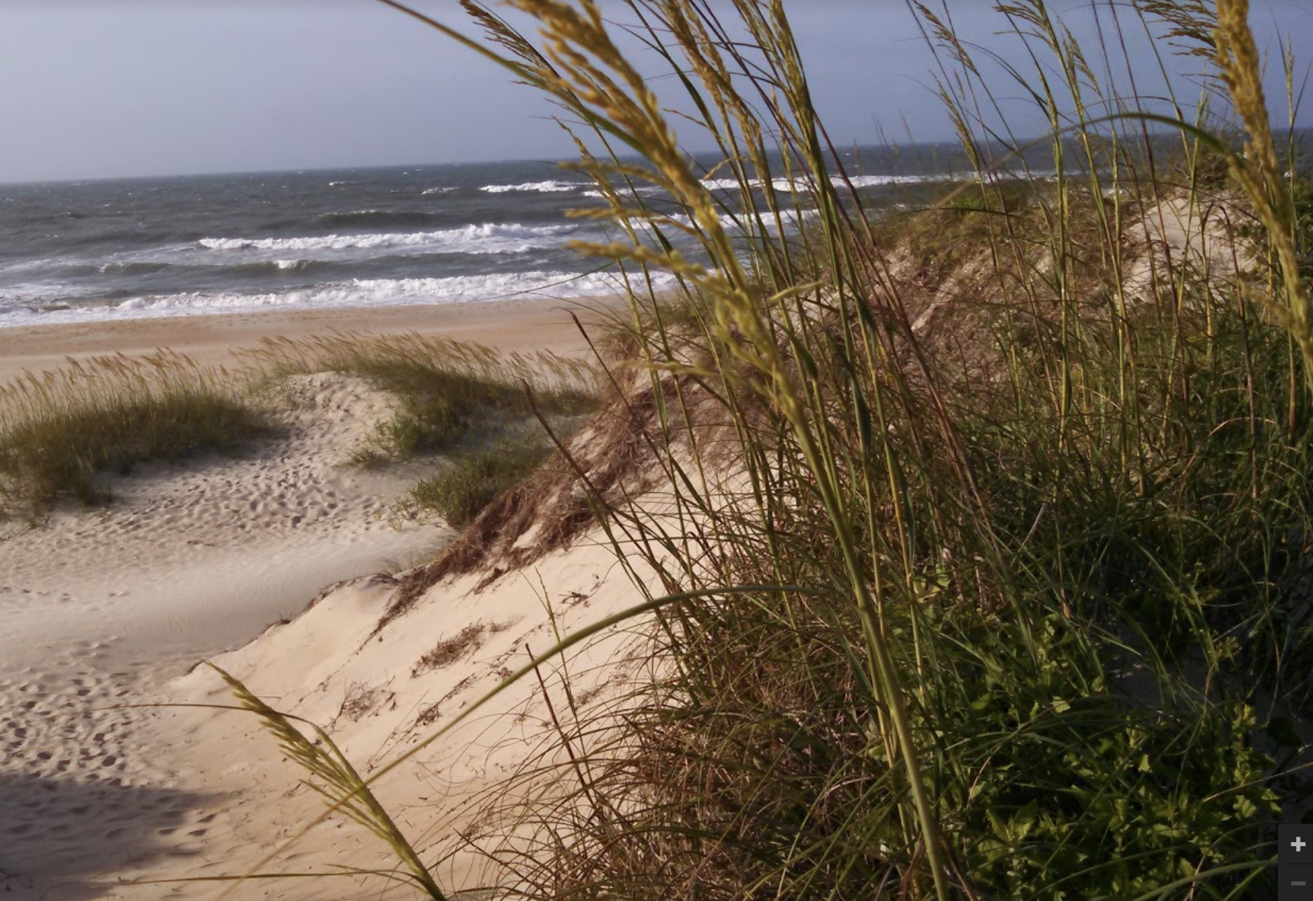 ocracoke dunes &amp; grass jerry deter
